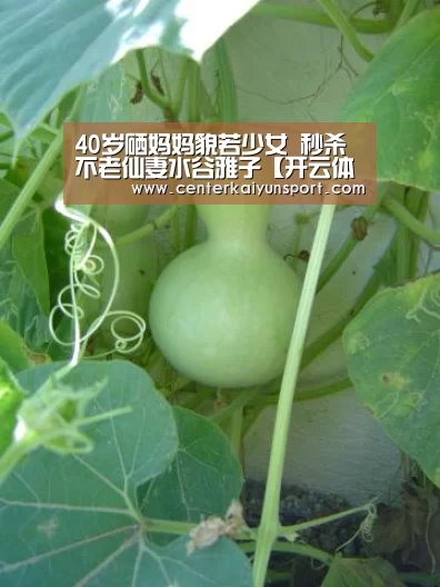40岁硒妈妈貌若少女 秒杀不老仙妻水谷雅子【开云体育赛事】(图3) 开云体育赛事