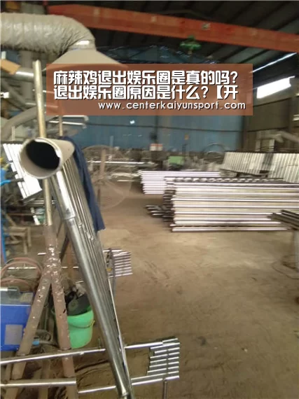 麻辣鸡退出娱乐圈是真的吗?退出娱乐圈原因是什么?【开云比分】(图3) 开云比分